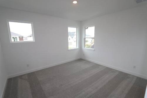 9834 Violet Landing Lane - Photo 13