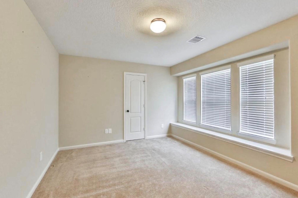 28807 Mayes Bluff Drive - Photo 18