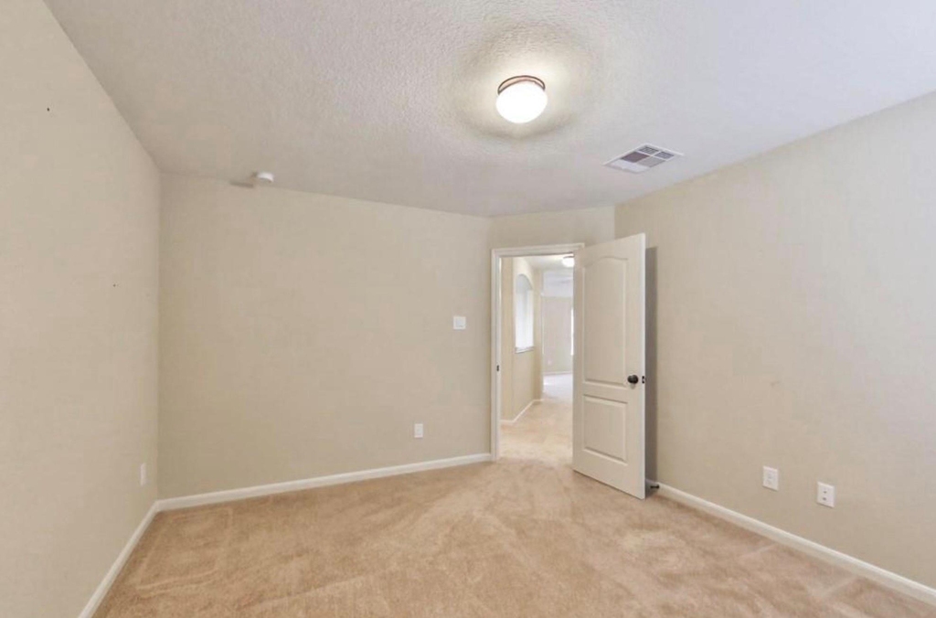 28807 Mayes Bluff Drive - Photo 15