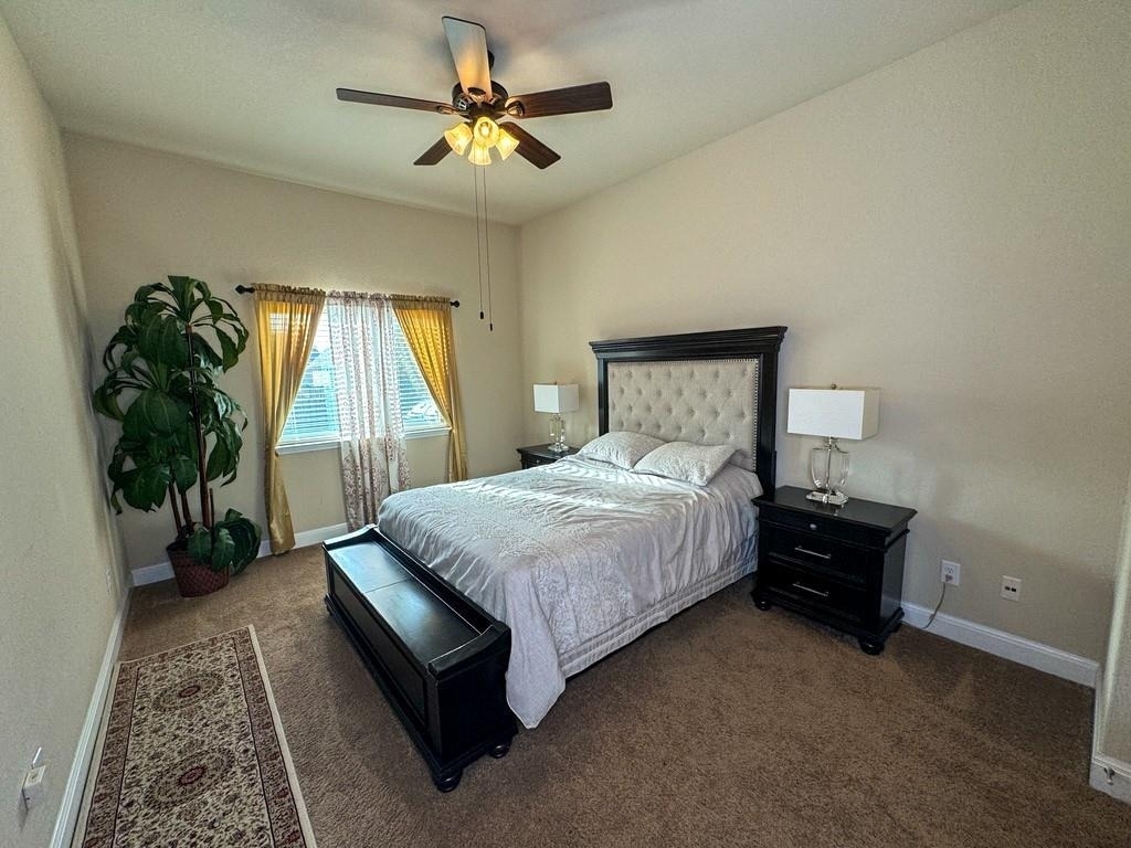 809 Alpino - Photo 8