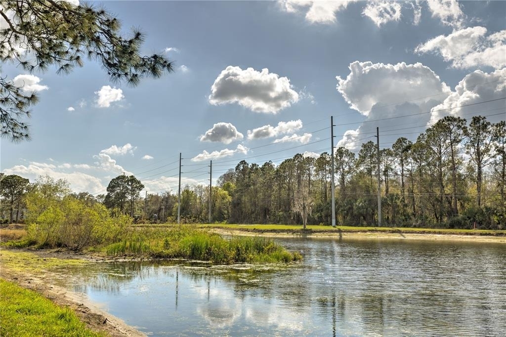 13304 Sanctuary Cove Drive - Photo 50