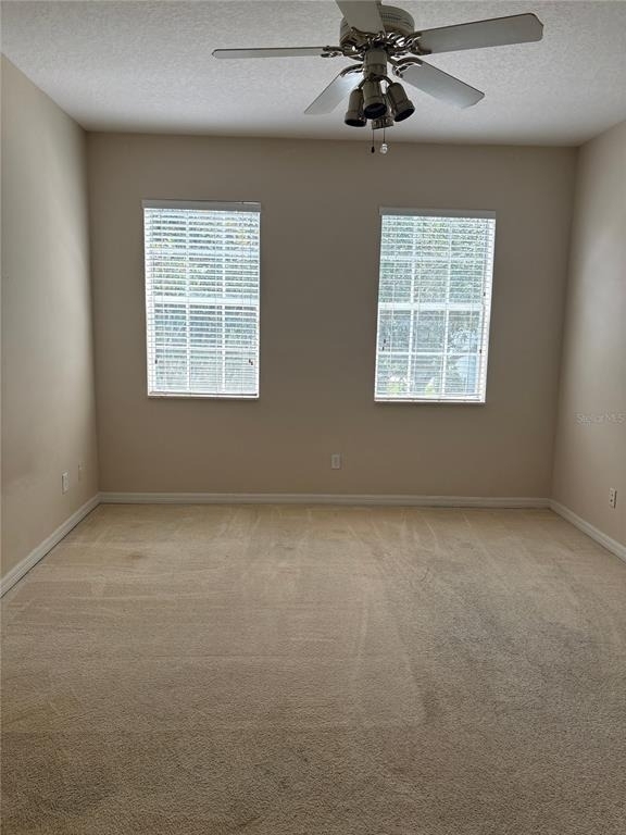 9428 Flowering Cottonwood Road - Photo 10