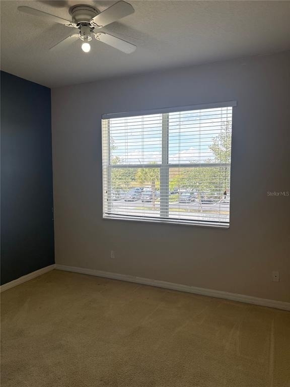 9428 Flowering Cottonwood Road - Photo 8