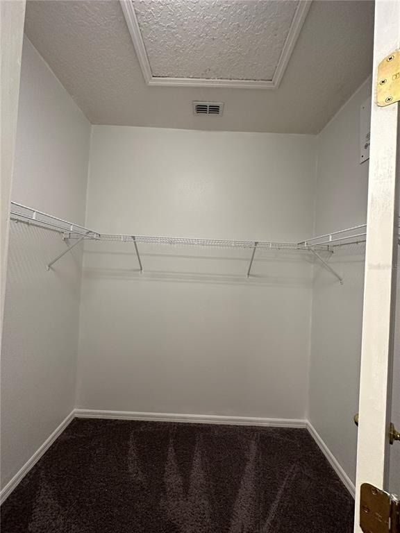6624 S Goldenrod Road - Photo 47