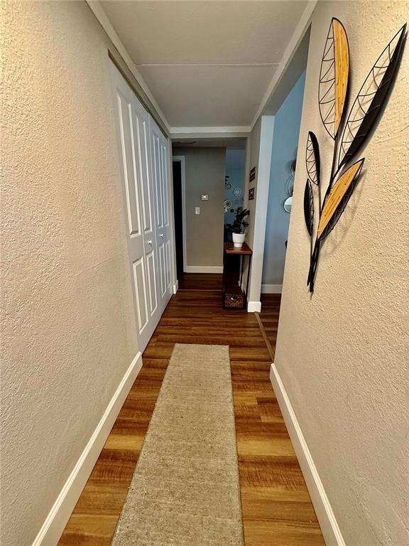 217 Kelly Street S - Photo 2