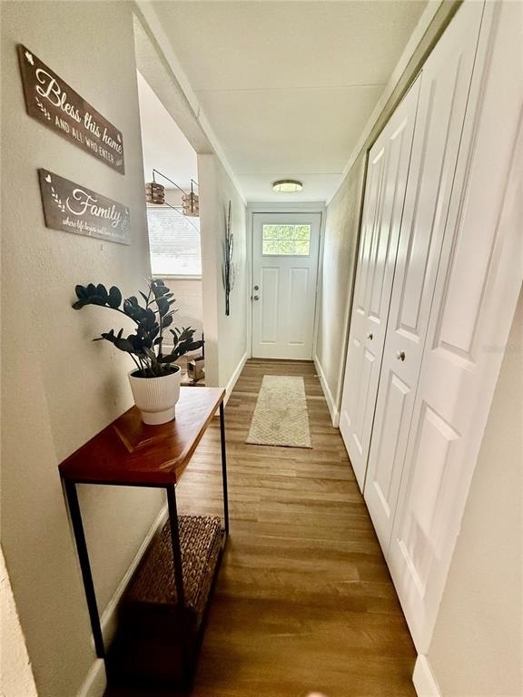 217 Kelly Street S - Photo 3