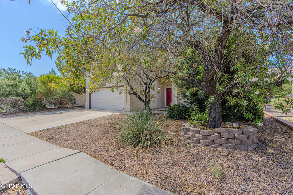 712 Laramie River Avenue - Photo 3