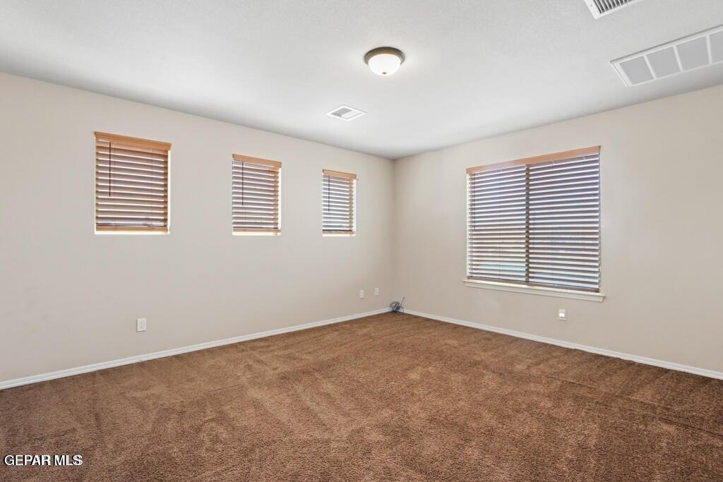 2047 Dreamlight Place - Photo 42