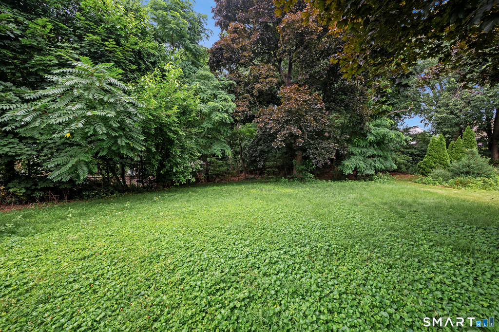 58 Jackson Avenue - Photo 21
