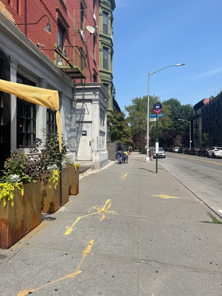 Bedstuy Halsey Street - Photo 15