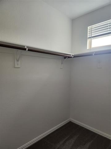 8313 Oxalis Lane - Photo 8