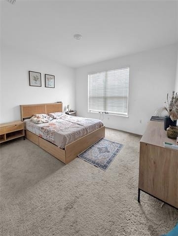 8005 Lindheimer Lane - Photo 10