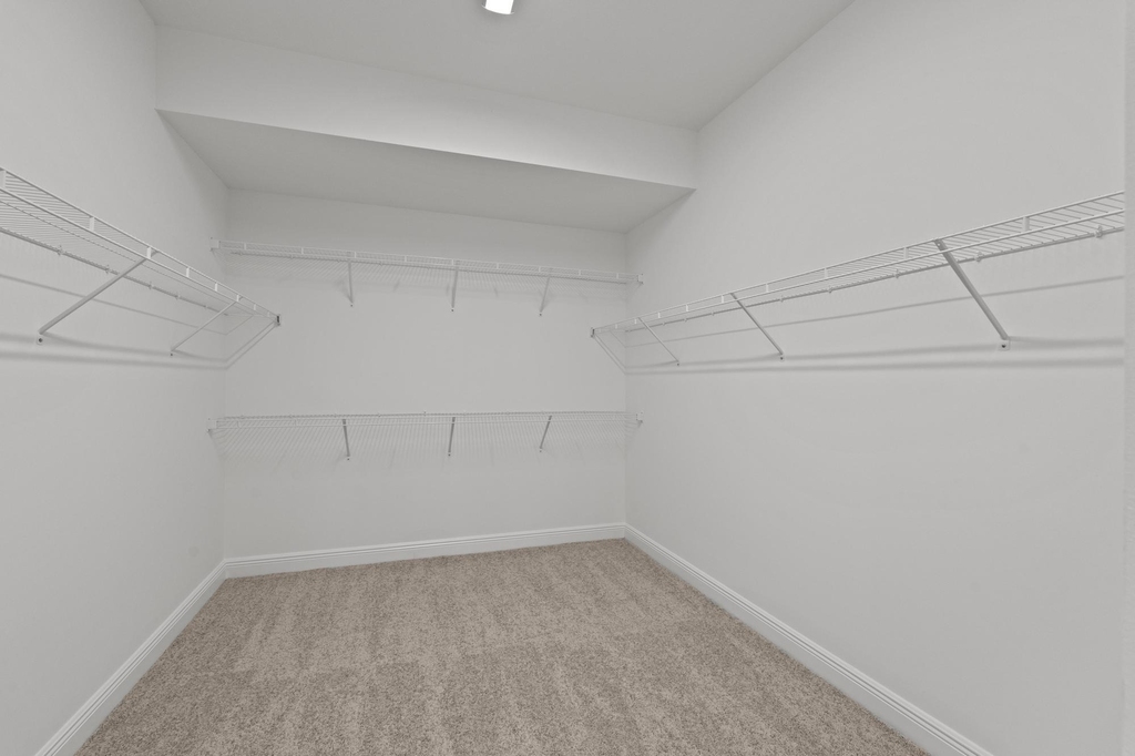 16462 Sea Turtle Place - Photo 20