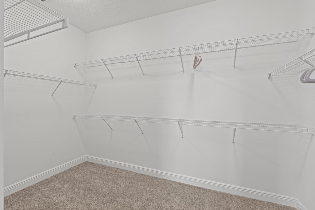 16462 Sea Turtle Place - Photo 42
