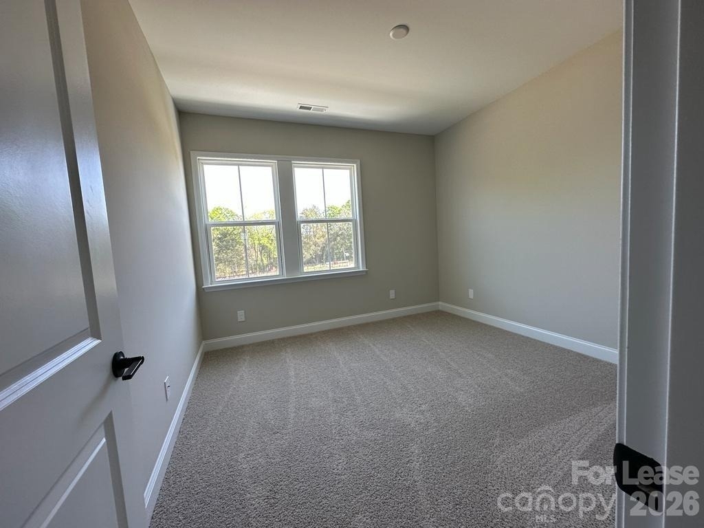 5715 Gulch Place - Photo 11