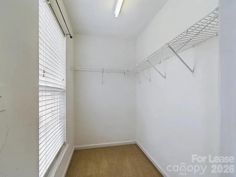 155 Kallie Loop - Photo 19
