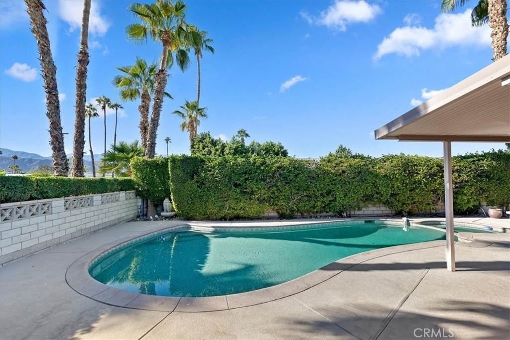 73182 Palm Greens - Photo 28