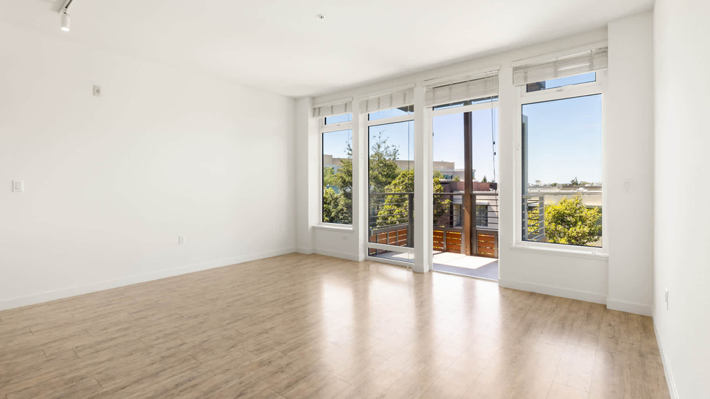 1333 Powell Street - Photo 8