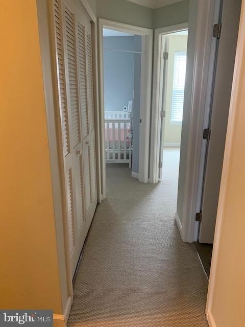 45954 Iron Oak Terrace - Photo 19