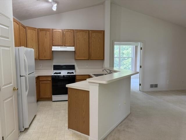 1452 Fox Pointe Circle - Photo 4