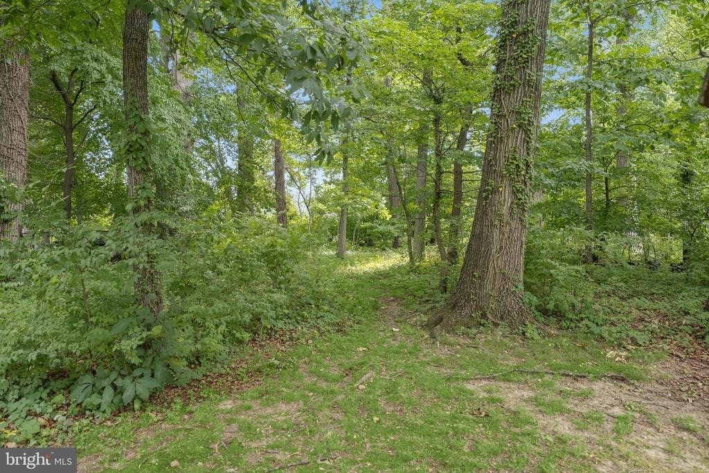 6709 Pemberton Street - Photo 42