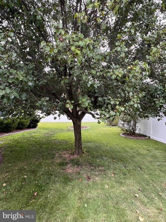 8 Rose Terrace - Photo 41