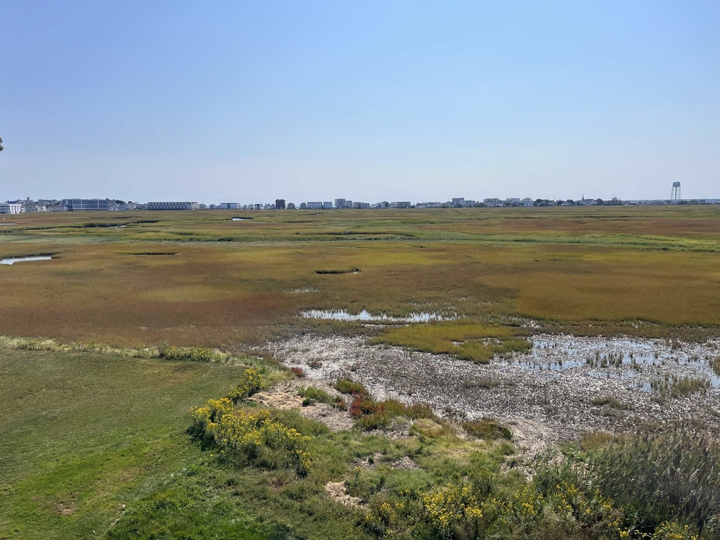 497 Winnacunnet - Photo 4