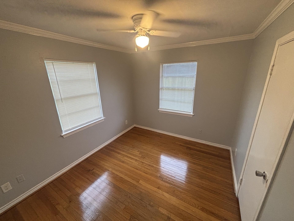 206 Maxie Street - Photo 4