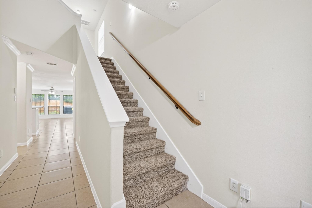 4502 Mallow Street - Photo 5