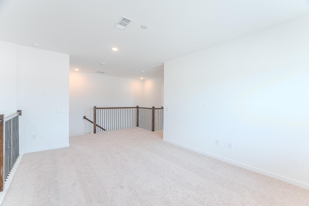 14606 Daffodil Plains Lane - Photo 17