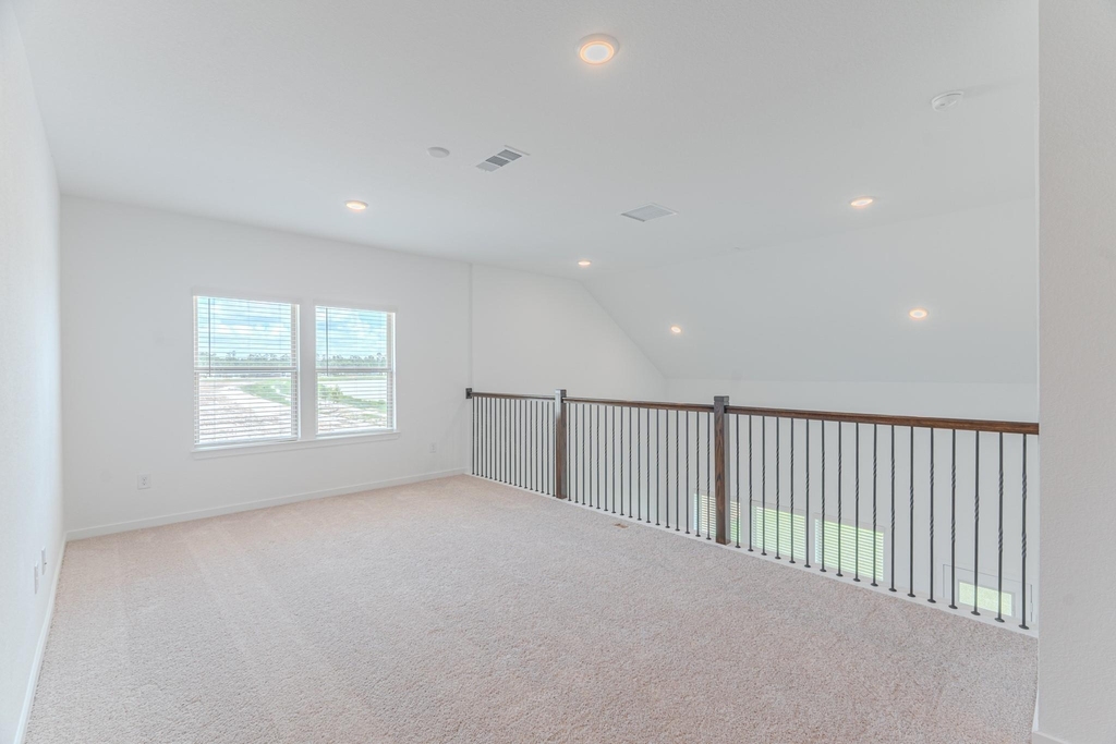 14606 Daffodil Plains Lane - Photo 16
