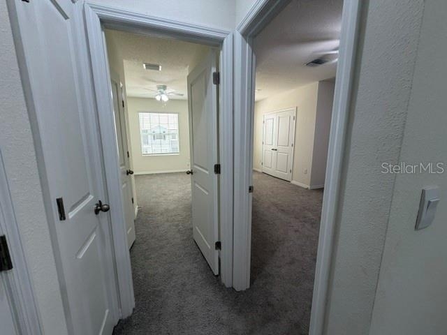 33083 Frosted Clover Way - Photo 25