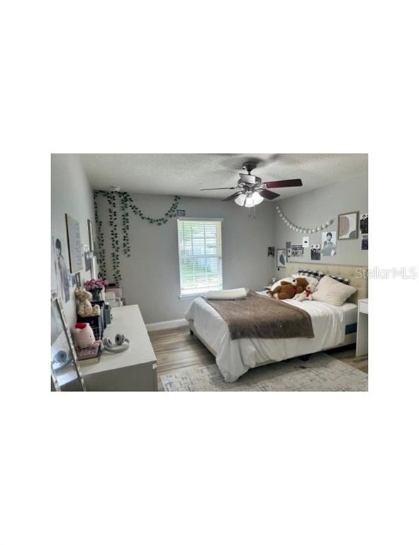 41 Primrose - Photo 16