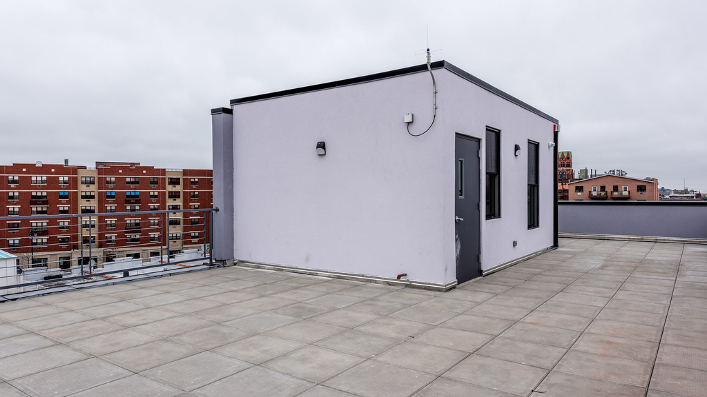 34 Belvidere St - Photo 11