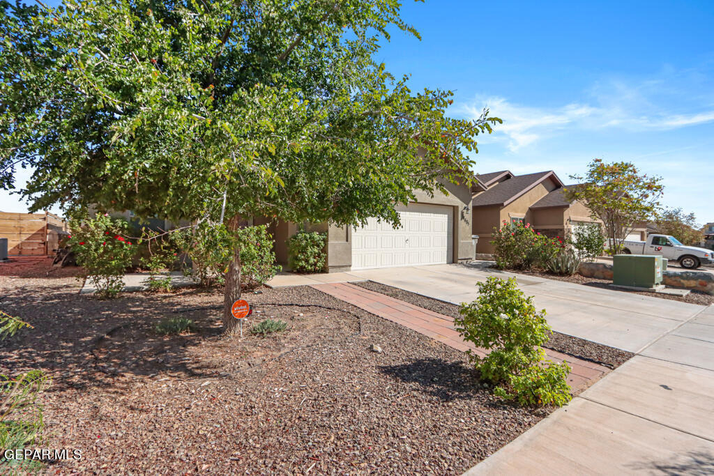 14685 Holsteiner Court - Photo 2