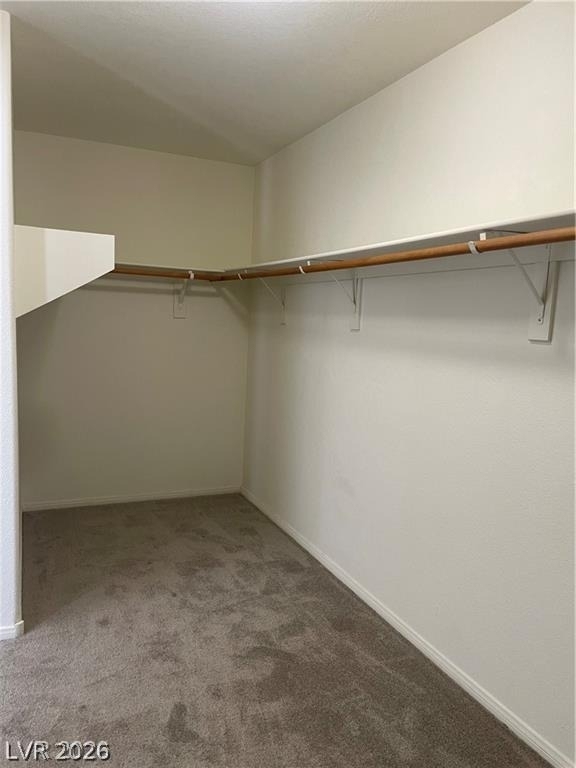 164 Gannett Peak Street - Photo 20