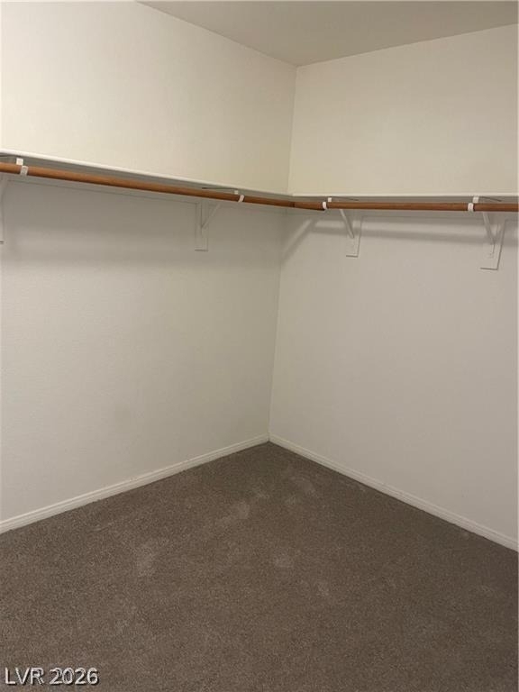 164 Gannett Peak Street - Photo 19