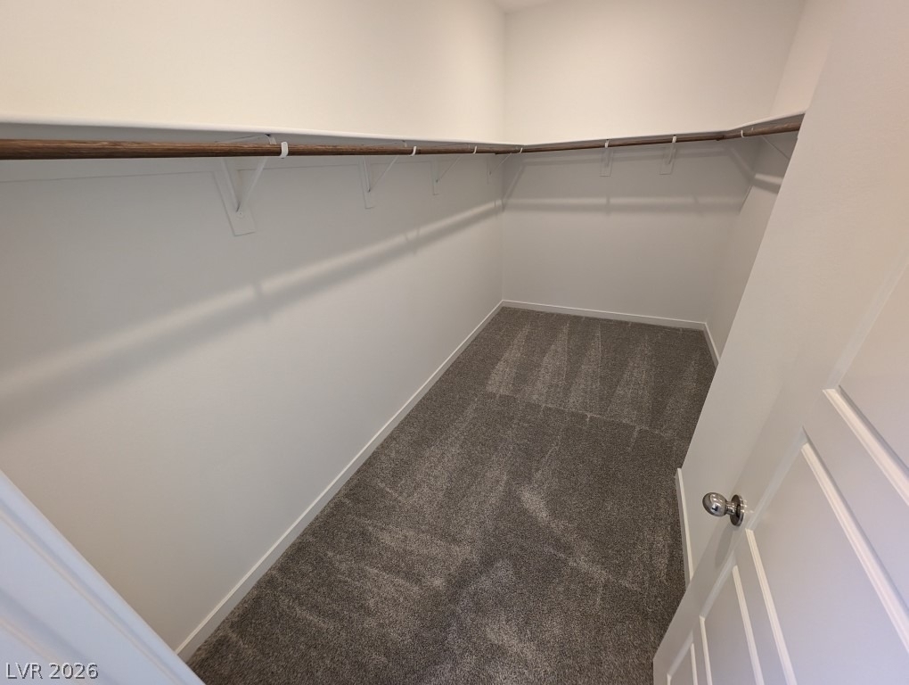 3339 Dancing Waters Street - Photo 22