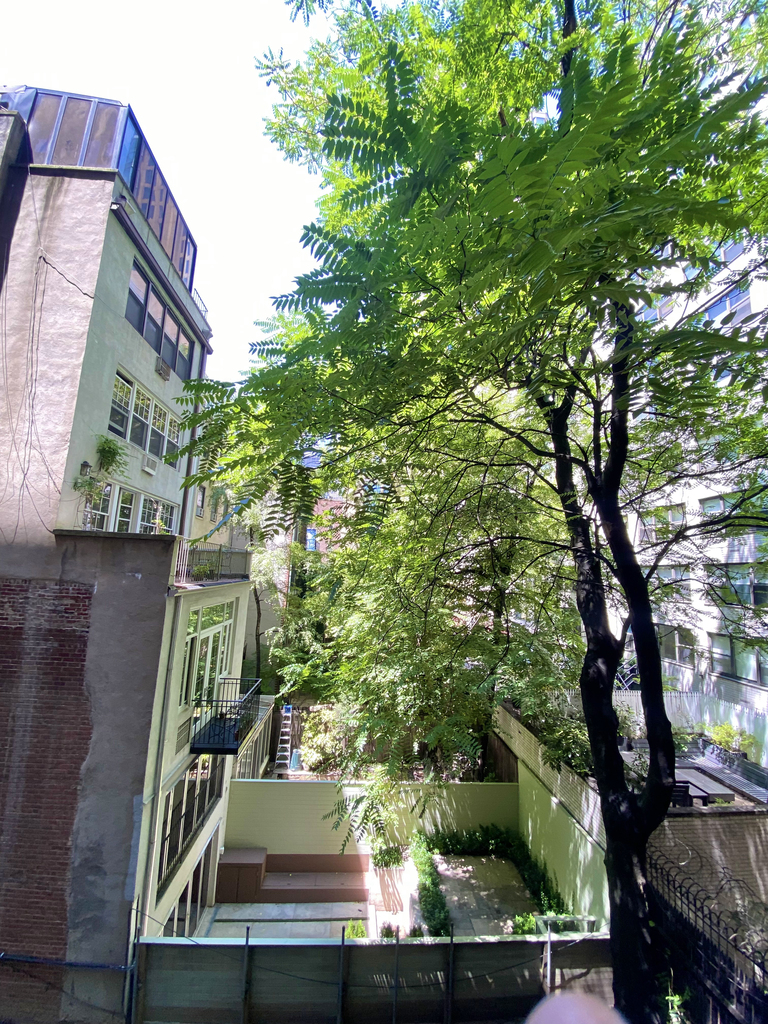 East 50th Street - Photo 5
