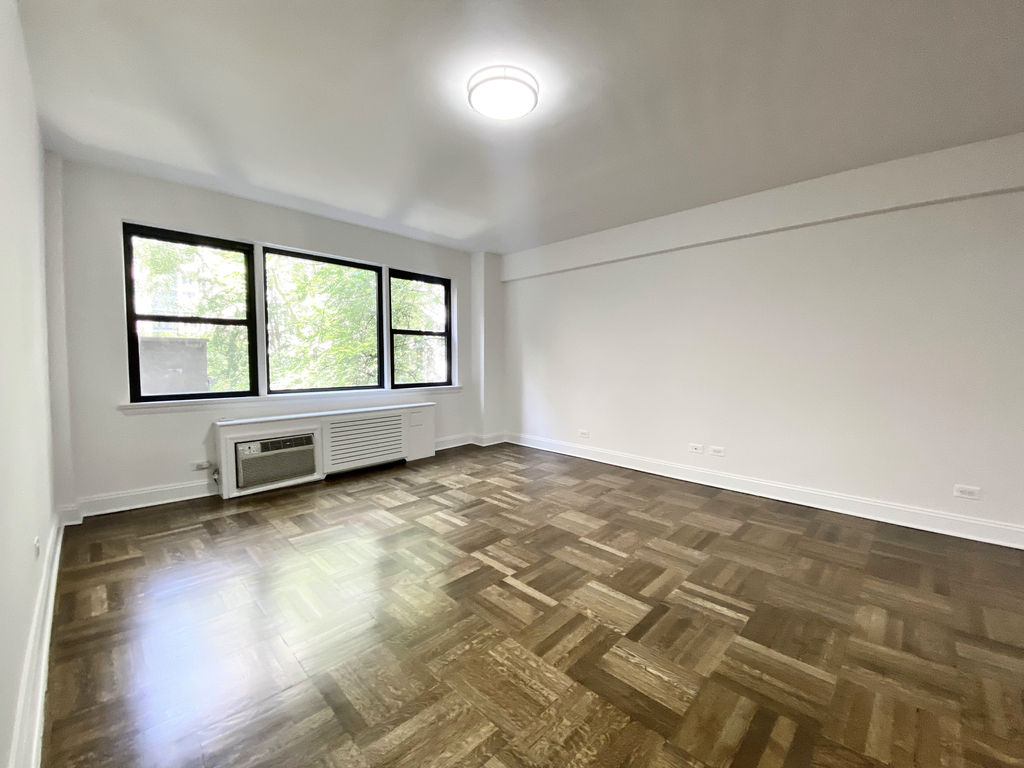 East 50th Street - Photo 4