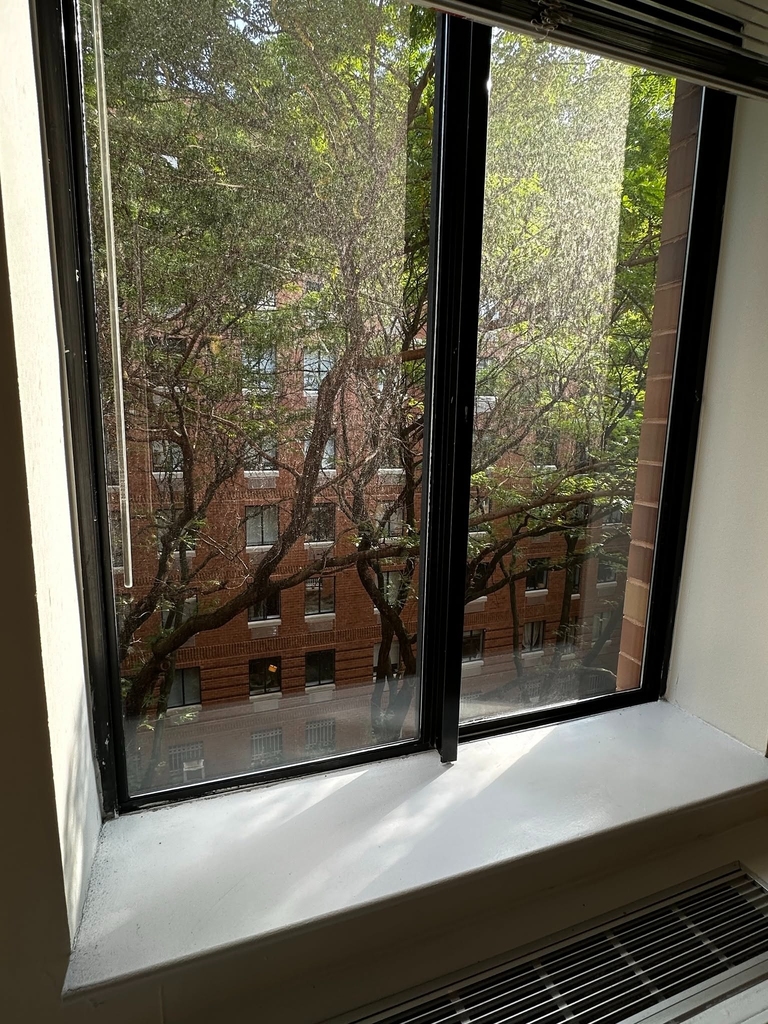 West 53rd Street - Photo 4