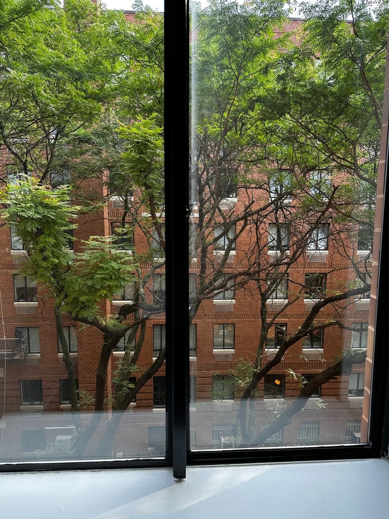 West 53rd Street - Photo 11