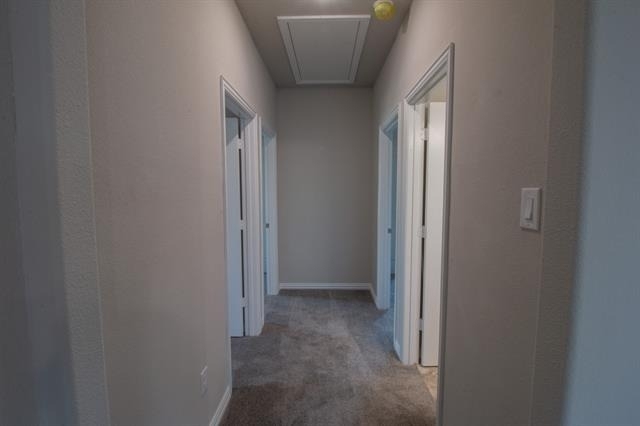 507 Reatta Drive - Photo 32