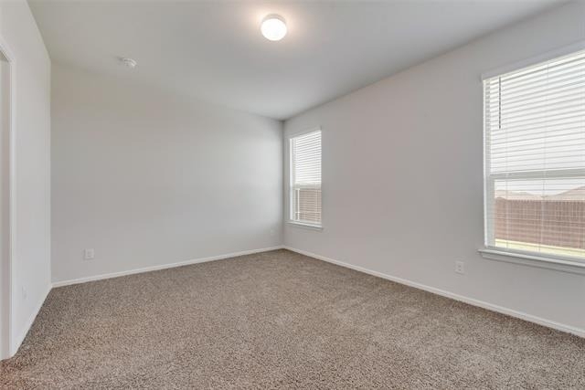 9704 New Bern Drive - Photo 13