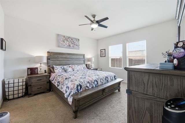 405 Willow Creek Drive - Photo 21