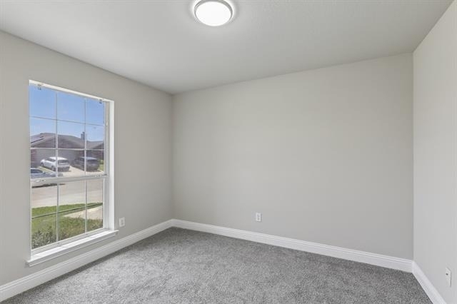 1702 La Caya Drive - Photo 21