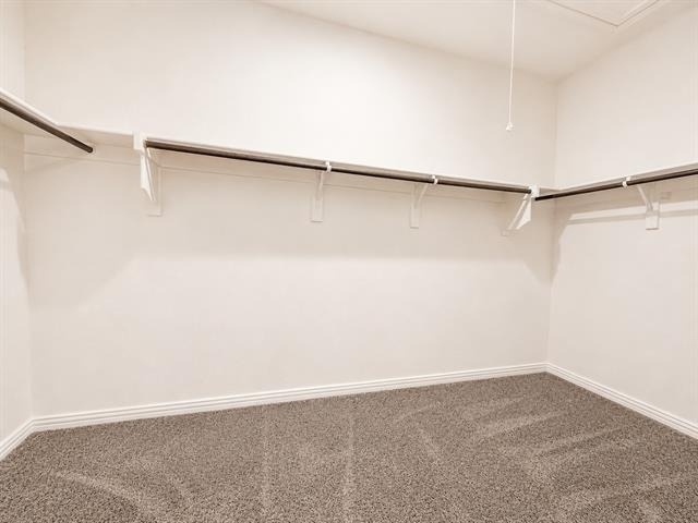 1704 Gold Mine Trail - Photo 14