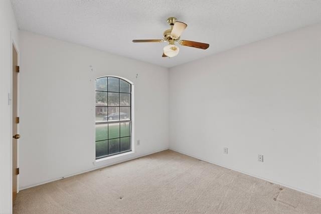 7517 Crosstimbers Lane - Photo 21