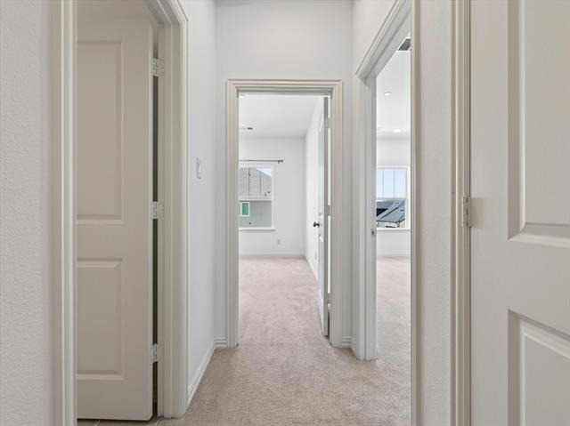 8900 Magnet Drive - Photo 14