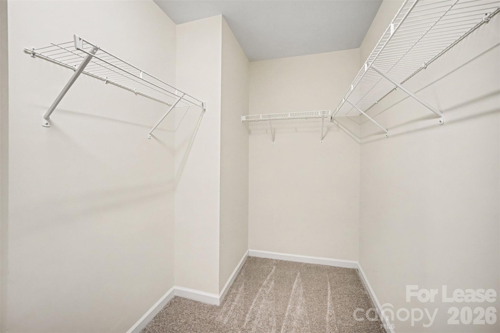 13809 Singleleaf Lane - Photo 15